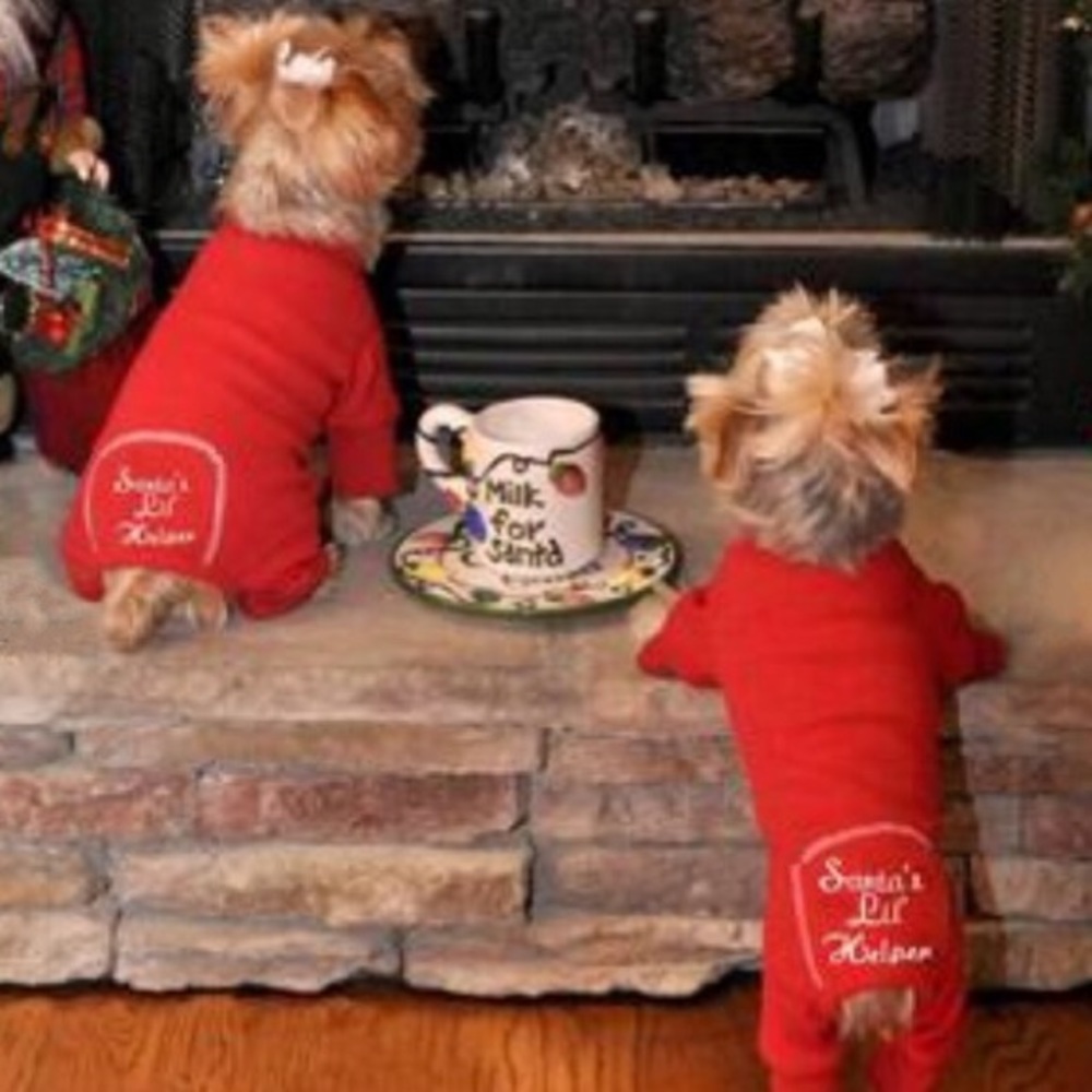 Pet Santa’s🎅🏼Little Helper Onesie